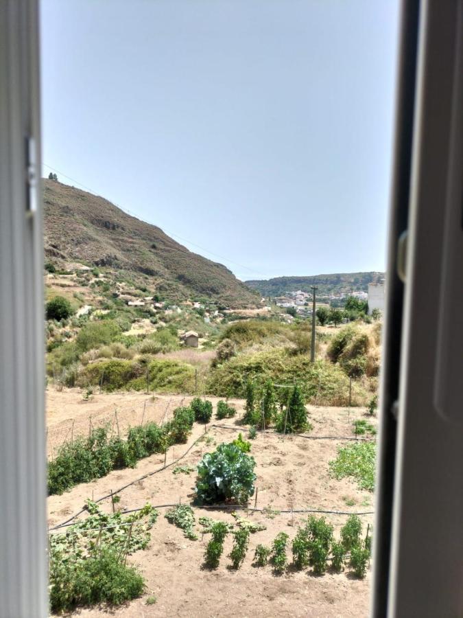 شقة Casa Azul Mountain Retreat فيغا دي سان ماتيو المظهر الخارجي الصورة