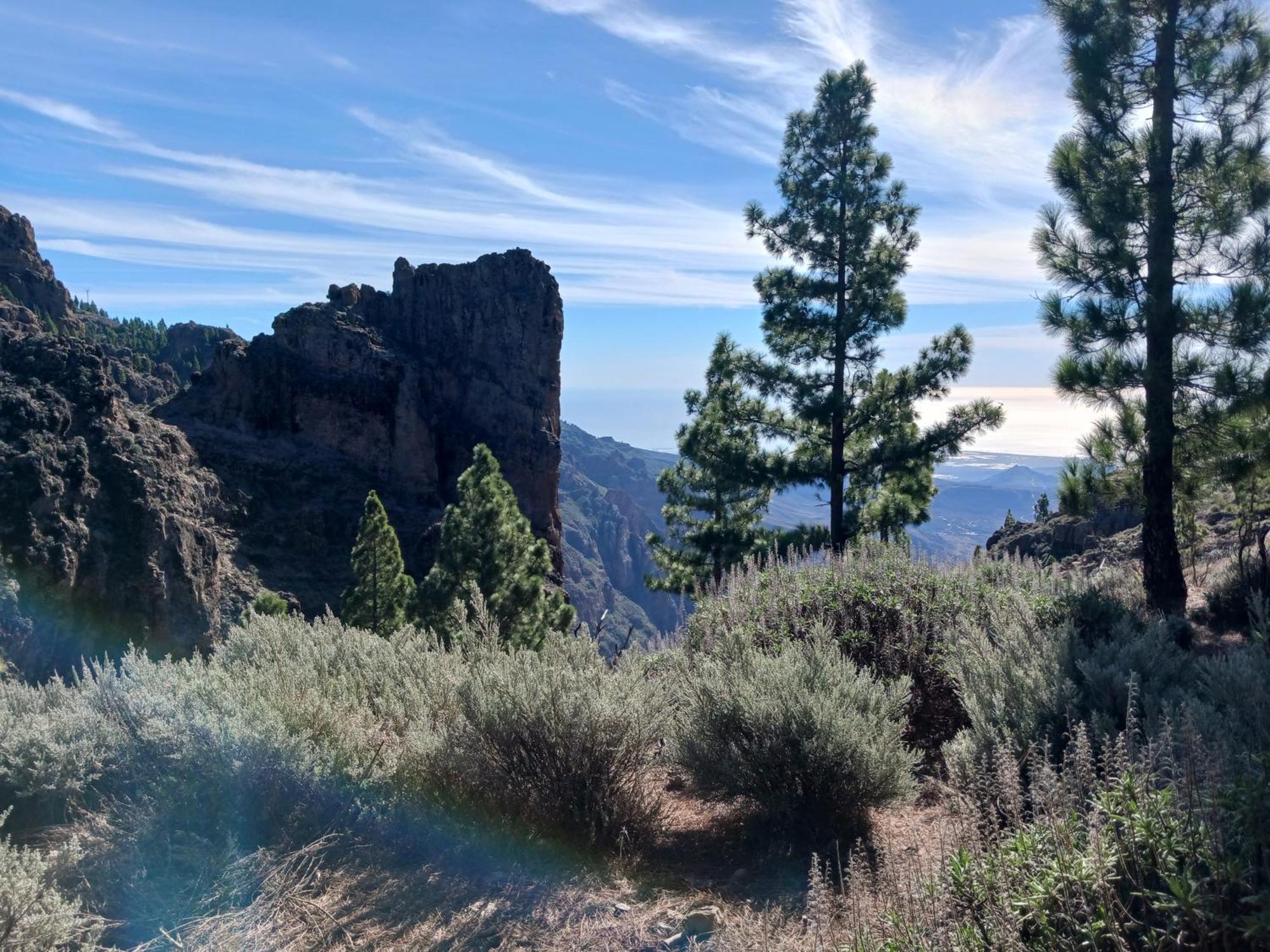 شقة Casa Azul Mountain Retreat فيغا دي سان ماتيو الغرفة الصورة